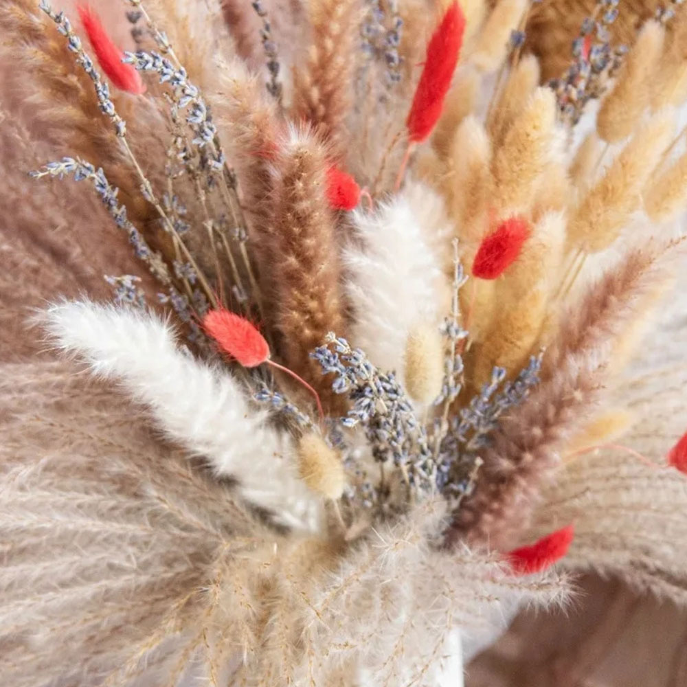 Buket Bunga Kering Alami Pampa - Pampas Grass Decor ulasan dan harga