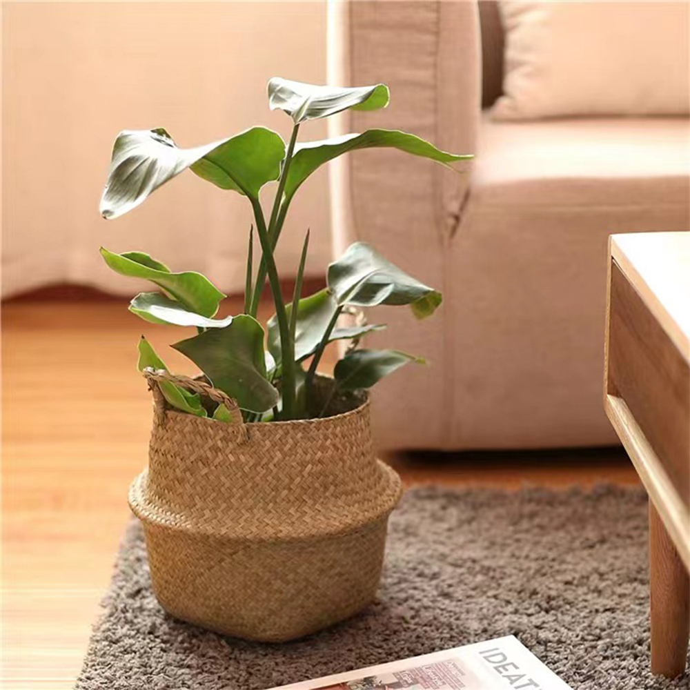Keranjang Tanaman dengan Pegan - Rattan Plant Basket ulasan dan harga
