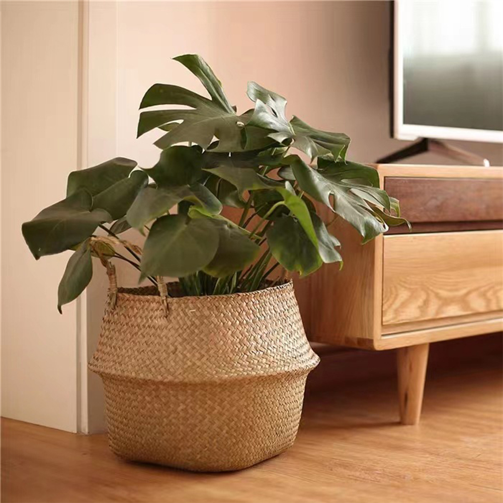 Keranjang Tanaman dengan Pegan - Rattan Plant Basket ulasan dan harga